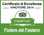 tripadvisor